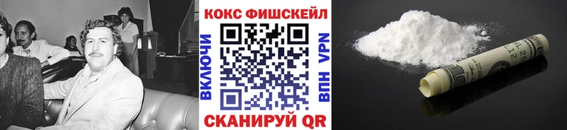 shop как зайти  Петропавловск-Камчатский  Кокаин 99% 