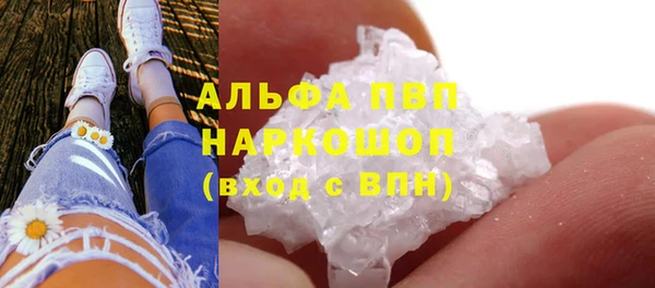 прущие крисы Арсеньев