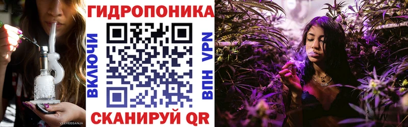 Бошки марихуана план  ОМГ ОМГ сайт  Петропавловск-Камчатский 